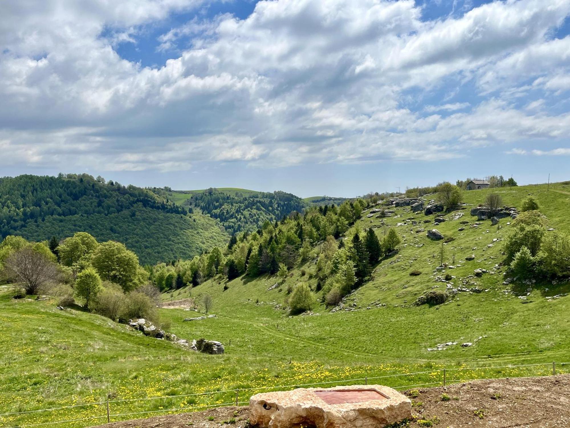 הוילה Selvavecchia Agriturismo Malga Rambalda מראה חיצוני תמונה
